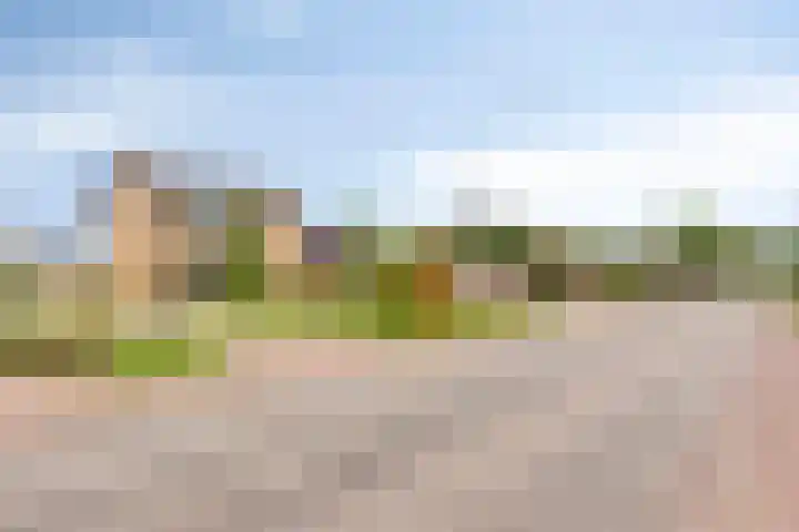Meester van Coothstraat 21 A Lith thumbnail 34