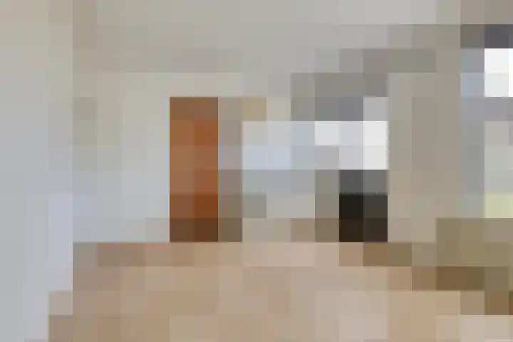 Meester van Coothstraat 21 A Lith thumbnail 4