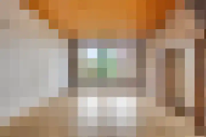 Meester van Coothstraat 21 A Lith thumbnail 8