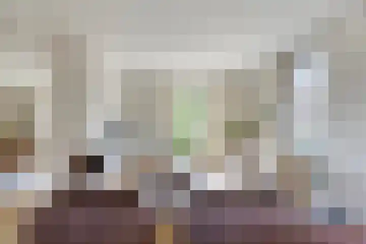Meester van Coothstraat 21 Lith thumbnail 13