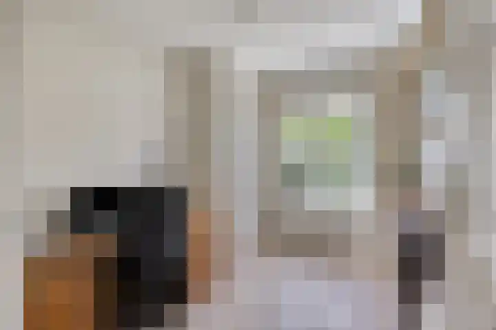 Meester van Coothstraat 21 Lith thumbnail 20