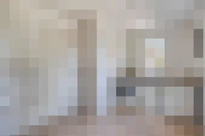 Meester van Coothstraat 21 Lith thumbnail 23