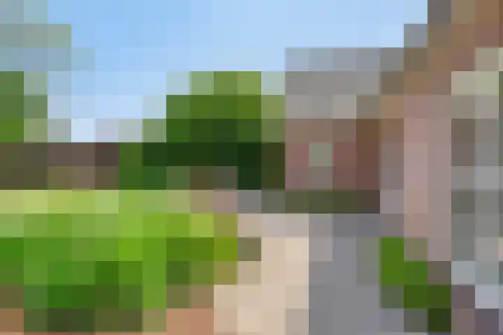Meester van Coothstraat 21 Lith thumbnail 28