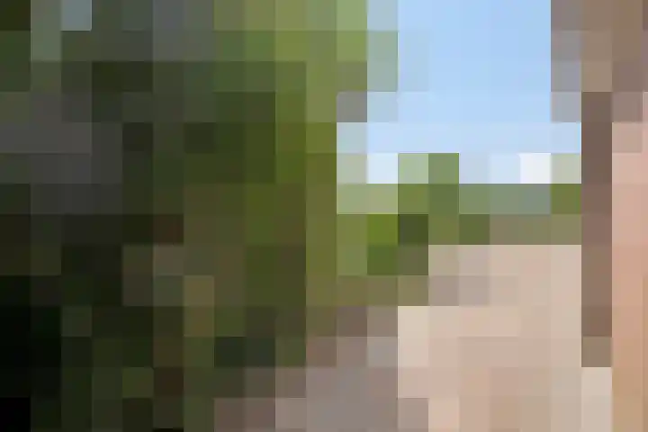 Meester van Coothstraat 21 Lith thumbnail 30