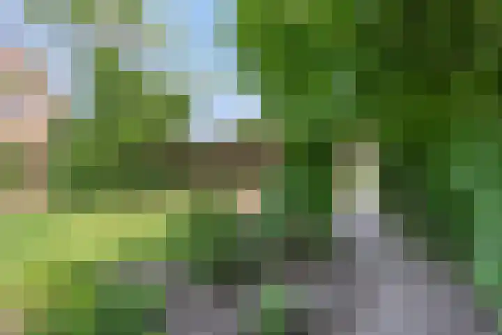 Meester van Coothstraat 21 Lith thumbnail 33