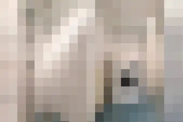 Meester van Coothstraat 21 Lith thumbnail 34