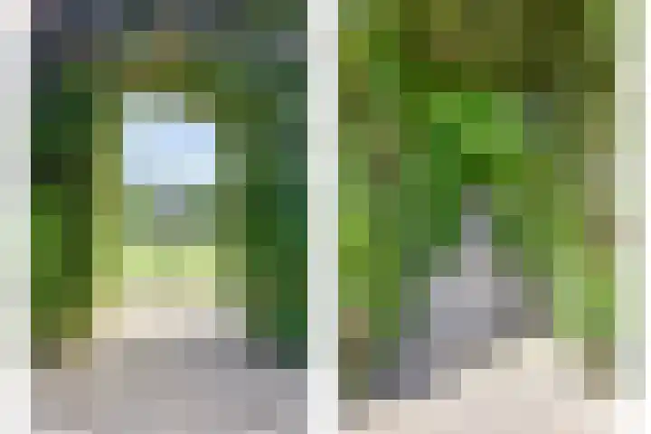 Meester van Coothstraat 21 Lith thumbnail 34