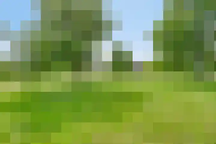 Meester van Coothstraat 21 Lith thumbnail 40