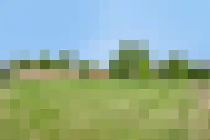 Meester van Coothstraat 21 Lith thumbnail 41