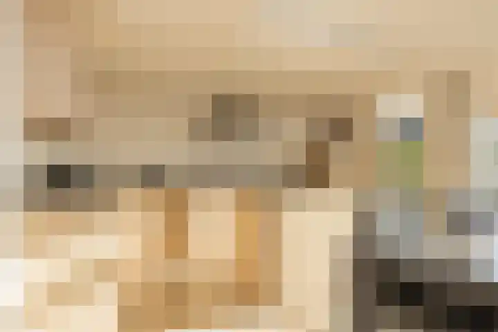 Meester van Coothstraat 21 Lith thumbnail 46