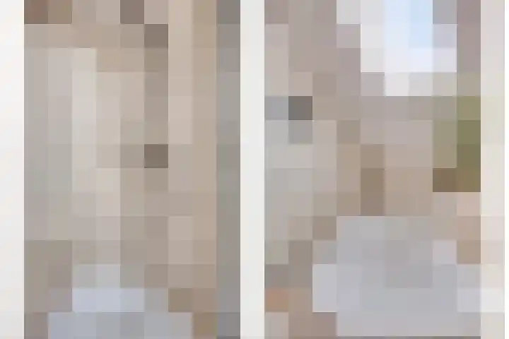 Meester van Coothstraat 21 Lith thumbnail 46