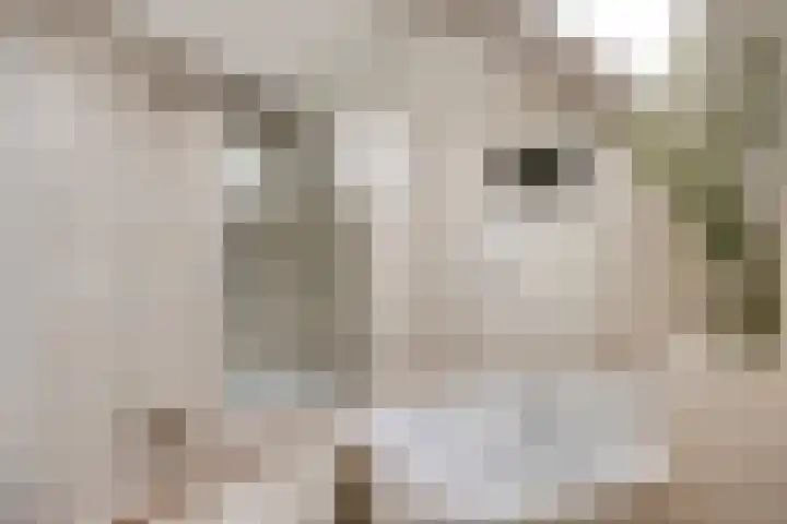 Meester van Coothstraat 21 Lith thumbnail 47