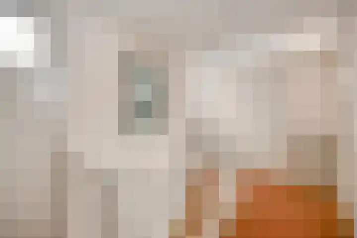 Meester van Coothstraat 21 Lith thumbnail 48