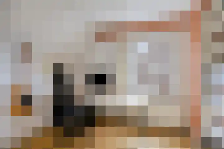 Meester van Coothstraat 21 Lith thumbnail 52