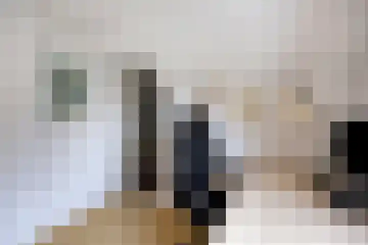 Meester van Coothstraat 21 Lith thumbnail 54
