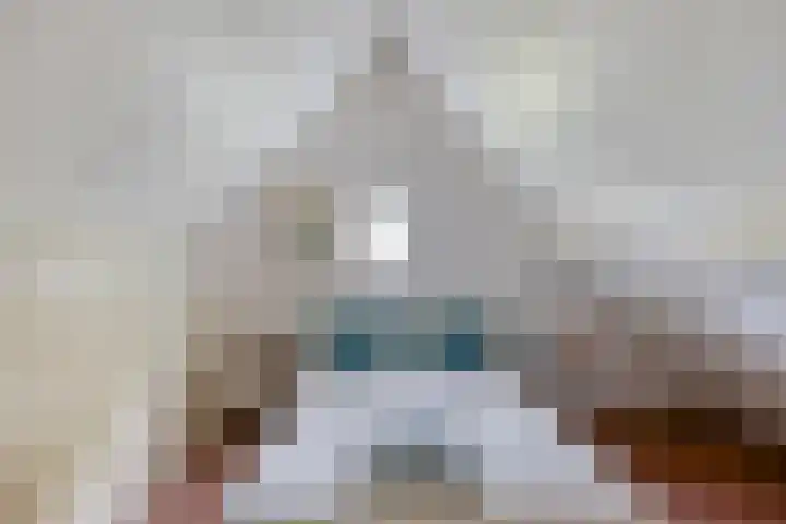 Meester van Coothstraat 21 Lith thumbnail 56