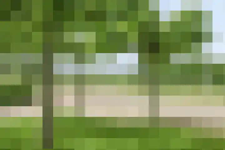 Meester van Coothstraat 21 Lith thumbnail 60