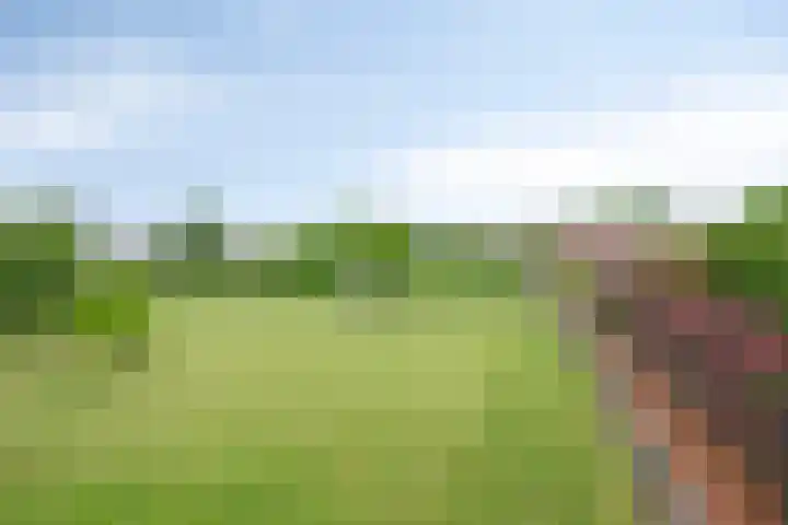 Meester van Coothstraat 21 Lith thumbnail 61