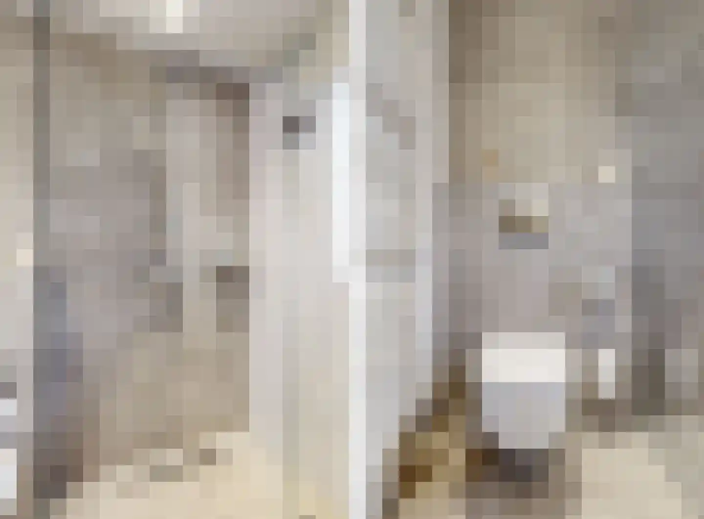 Meester van Coothstraat 21 Lith thumbnail 62