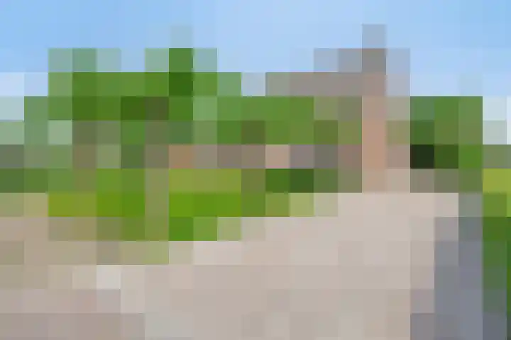 Meester van Coothstraat 21 Lith thumbnail 7