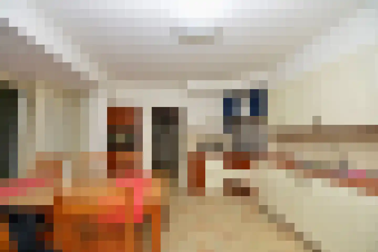 Meester van Coothstraat 47 A Lith thumbnail 10