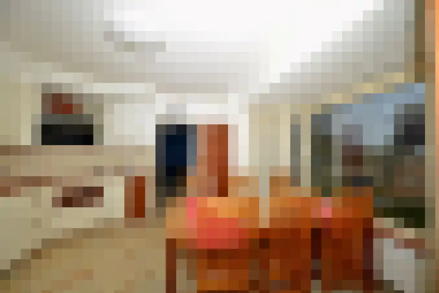 Meester van Coothstraat 47 A Lith thumbnail 12