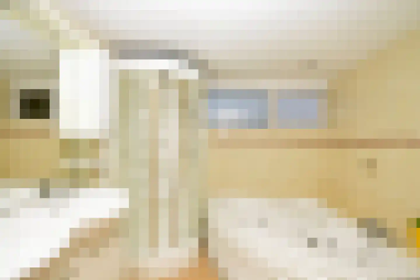 Meester van Coothstraat 47 A Lith thumbnail 14