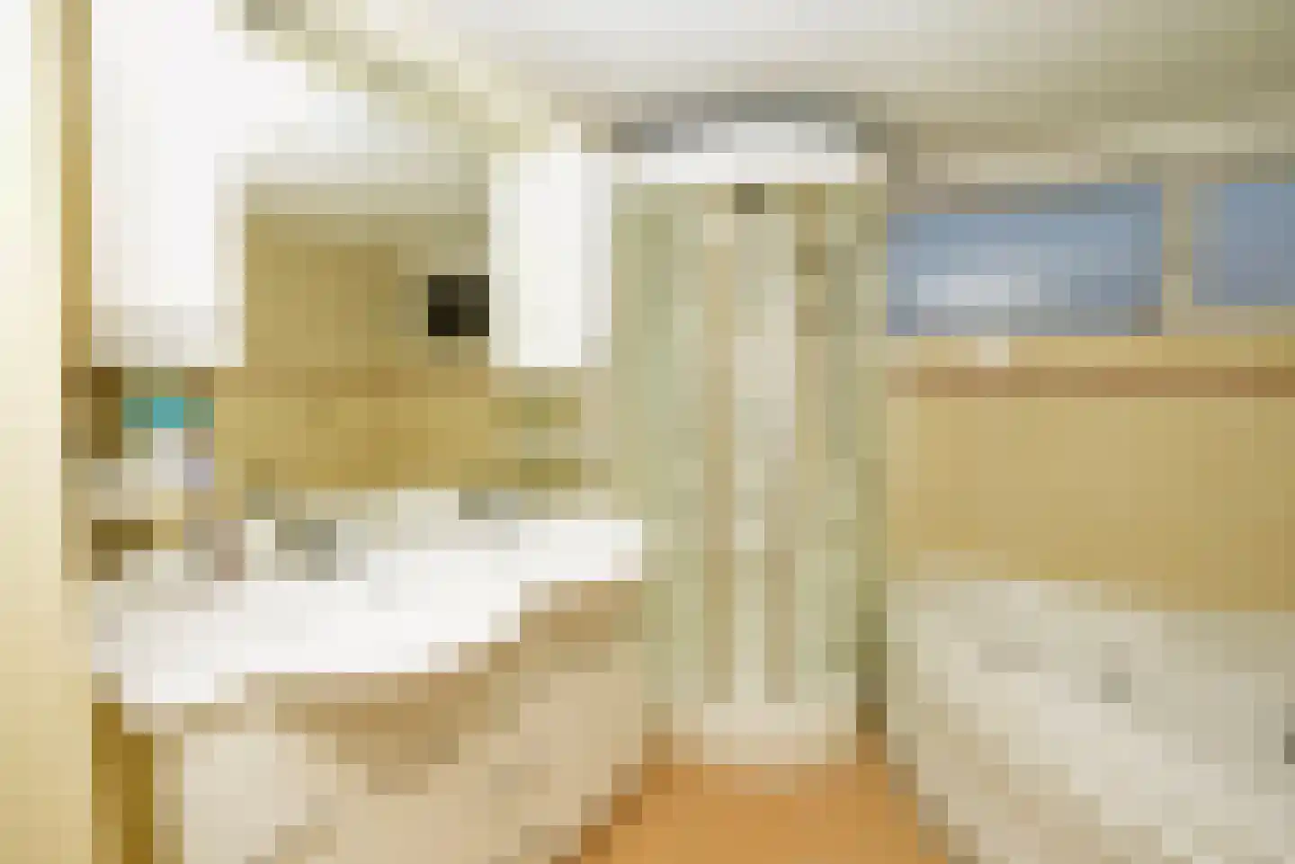 Meester van Coothstraat 47 A Lith thumbnail 15