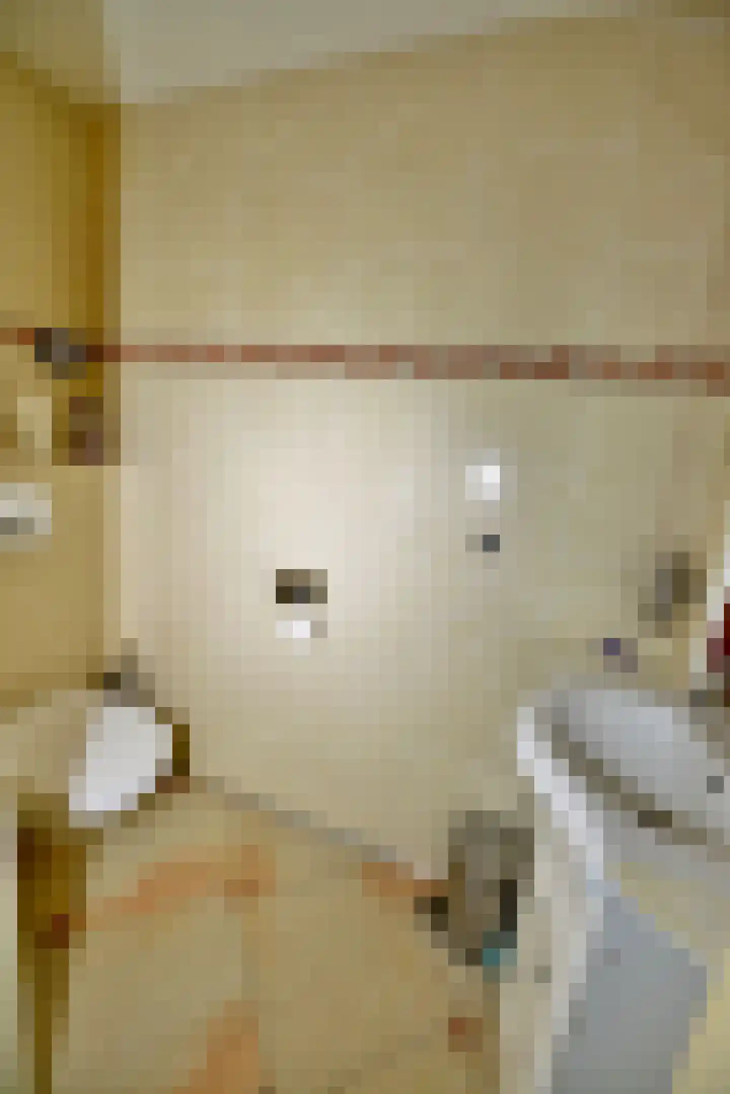 Meester van Coothstraat 47 A Lith thumbnail 16