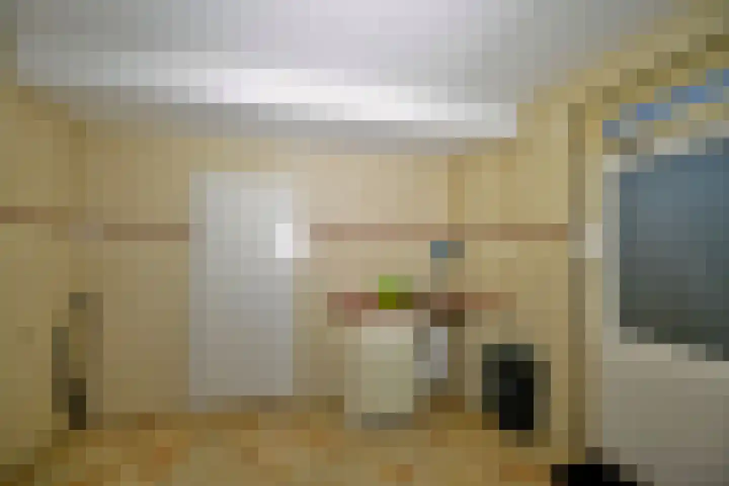 Meester van Coothstraat 47 A Lith thumbnail 17