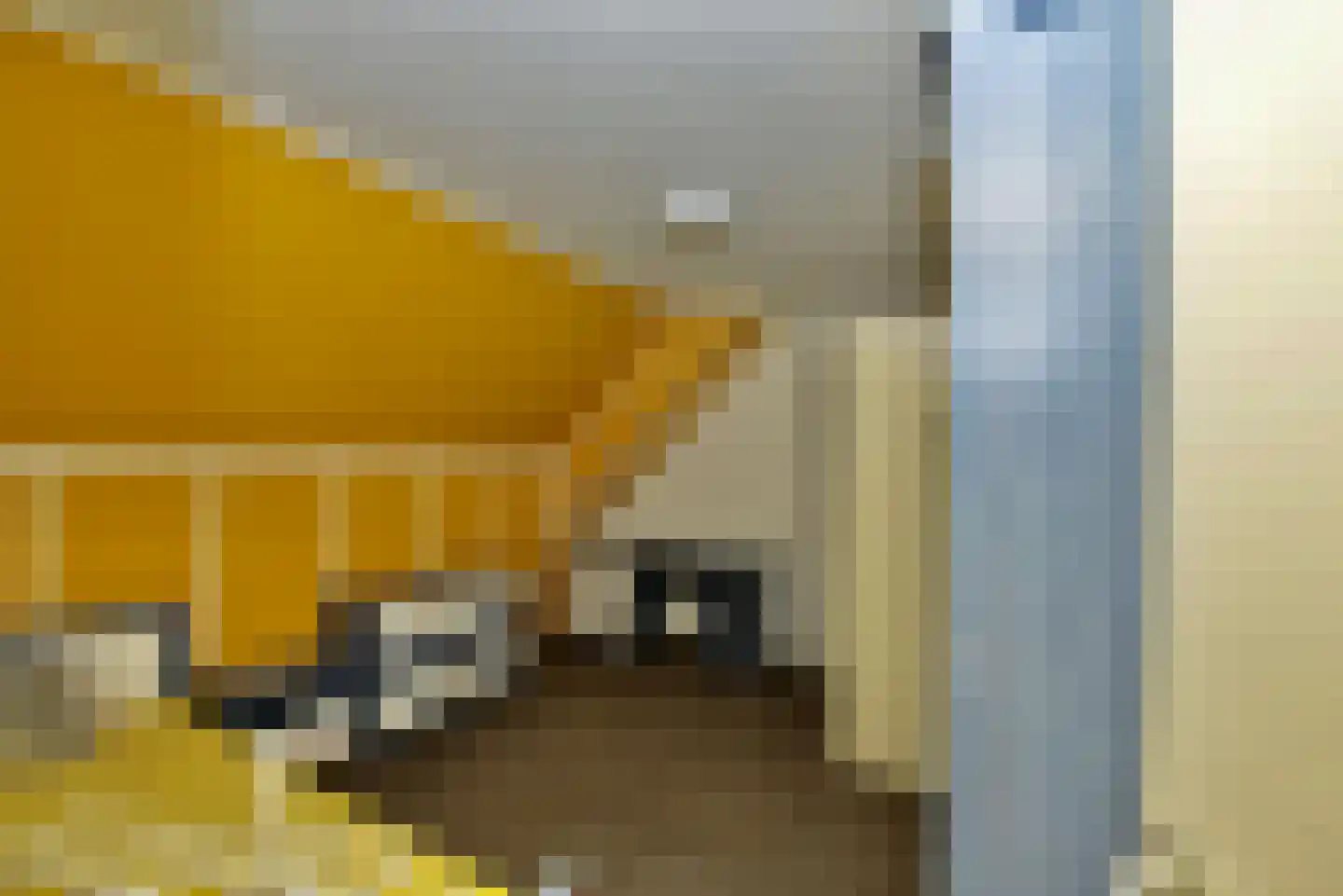 Meester van Coothstraat 47 A Lith thumbnail 20