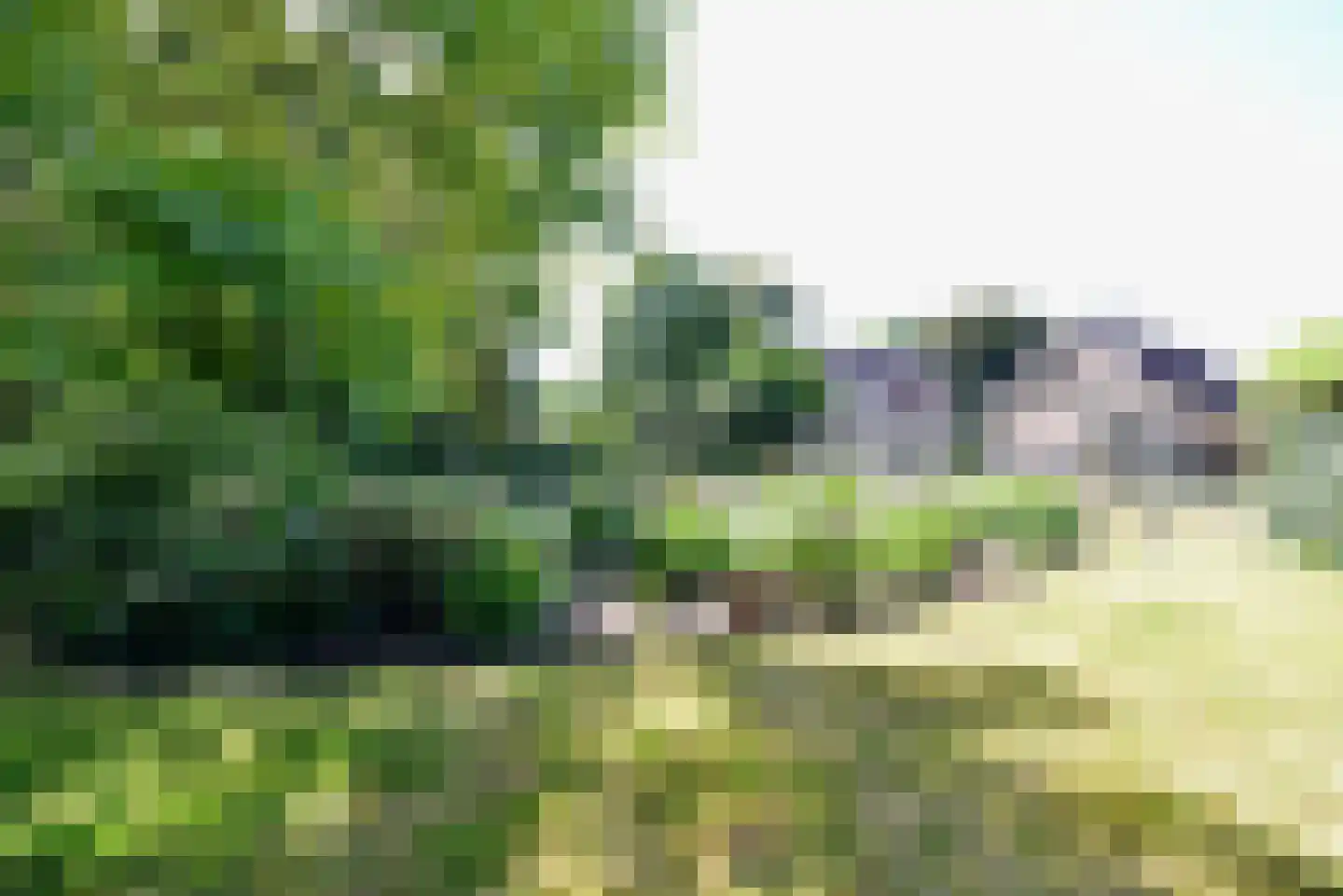 Meester van Coothstraat 47 A Lith thumbnail 4