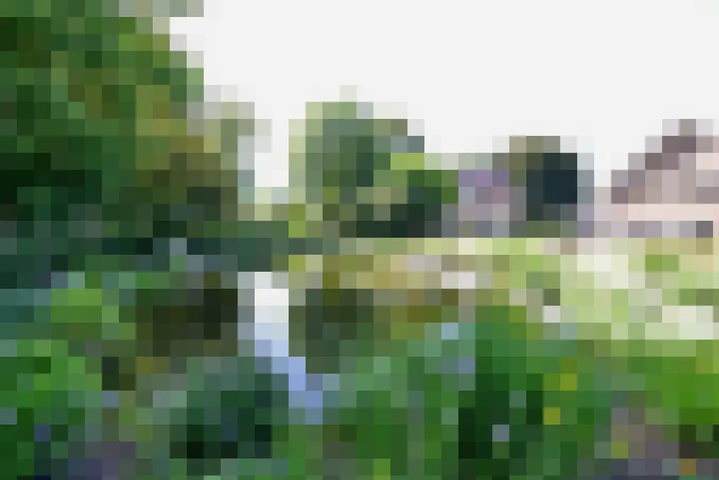 Meester van Coothstraat 47 A Lith thumbnail 5