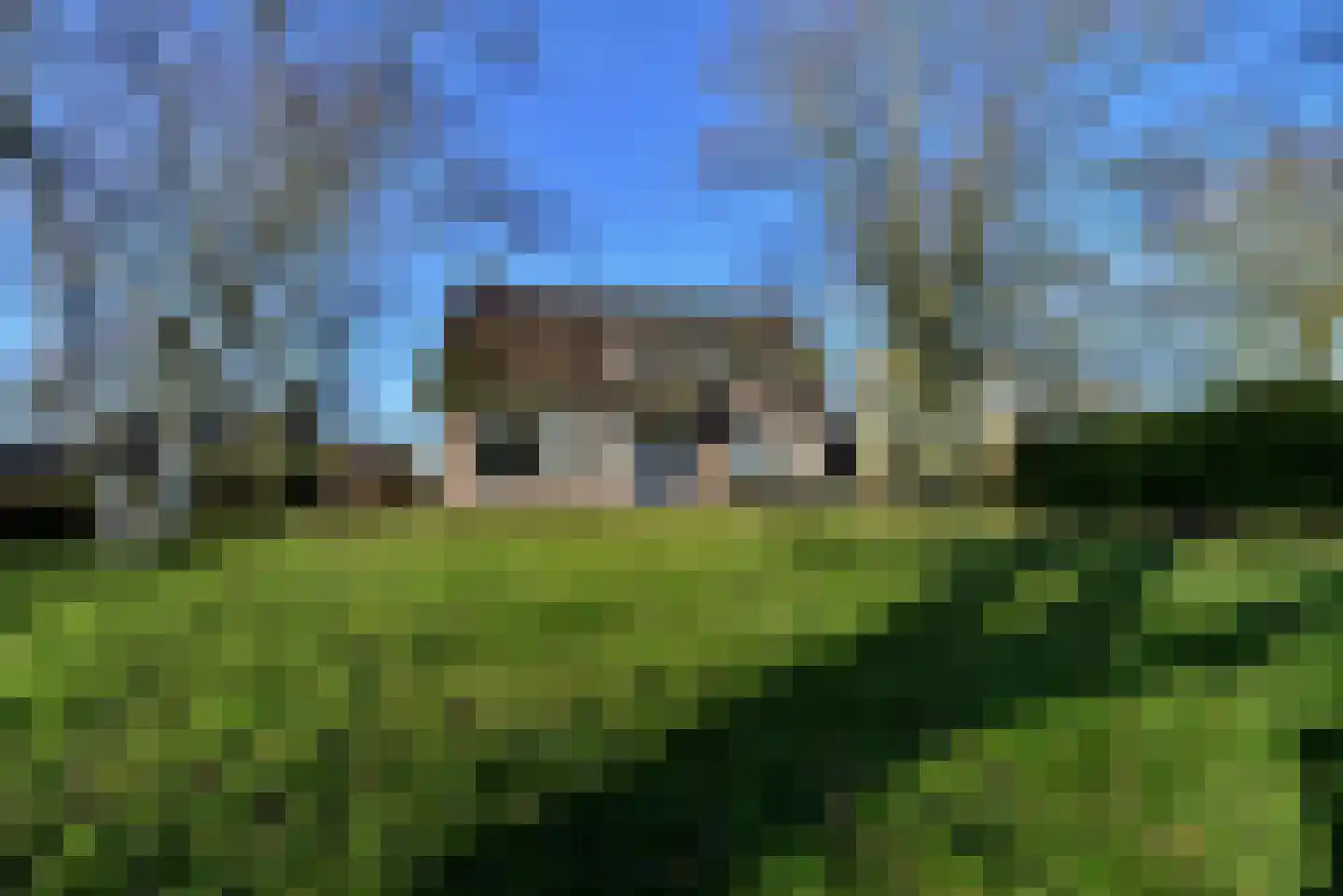 Meester van Coothstraat 47 A Lith thumbnail 7