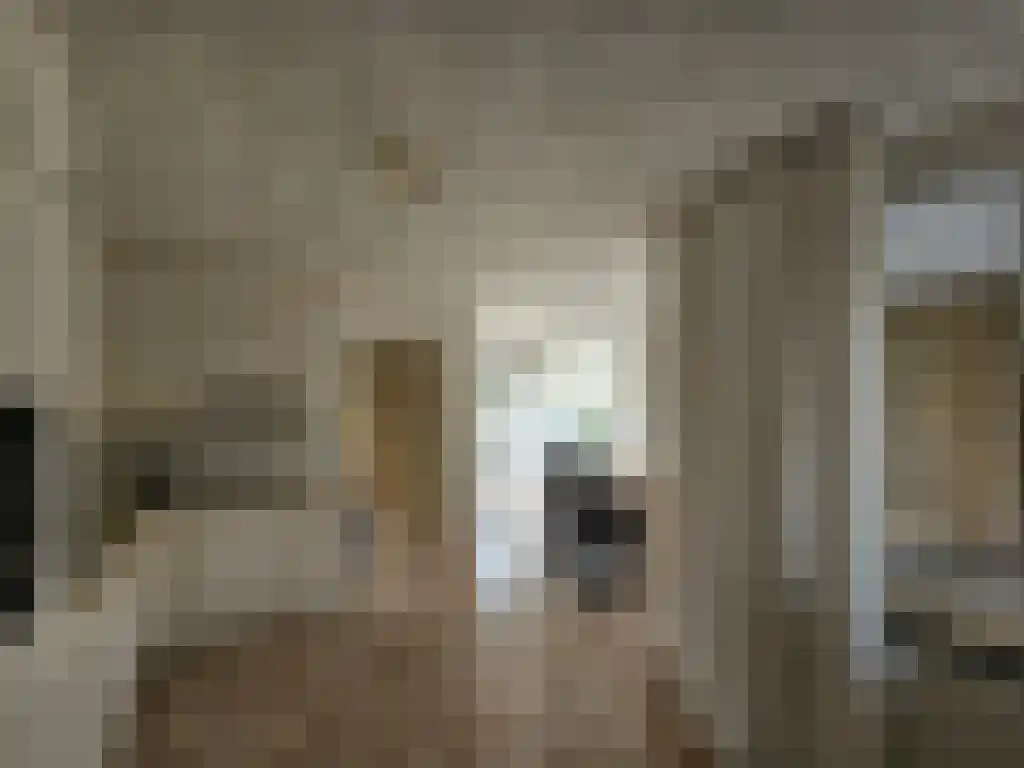 Meester van Coothstraat 51 Lith thumbnail 4