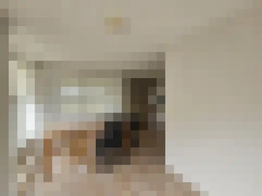 Meester van Coothstraat 51 Lith thumbnail 6