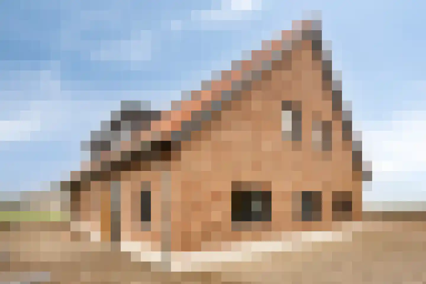 Meester van Coothstraat 55 A Lith thumbnail 21