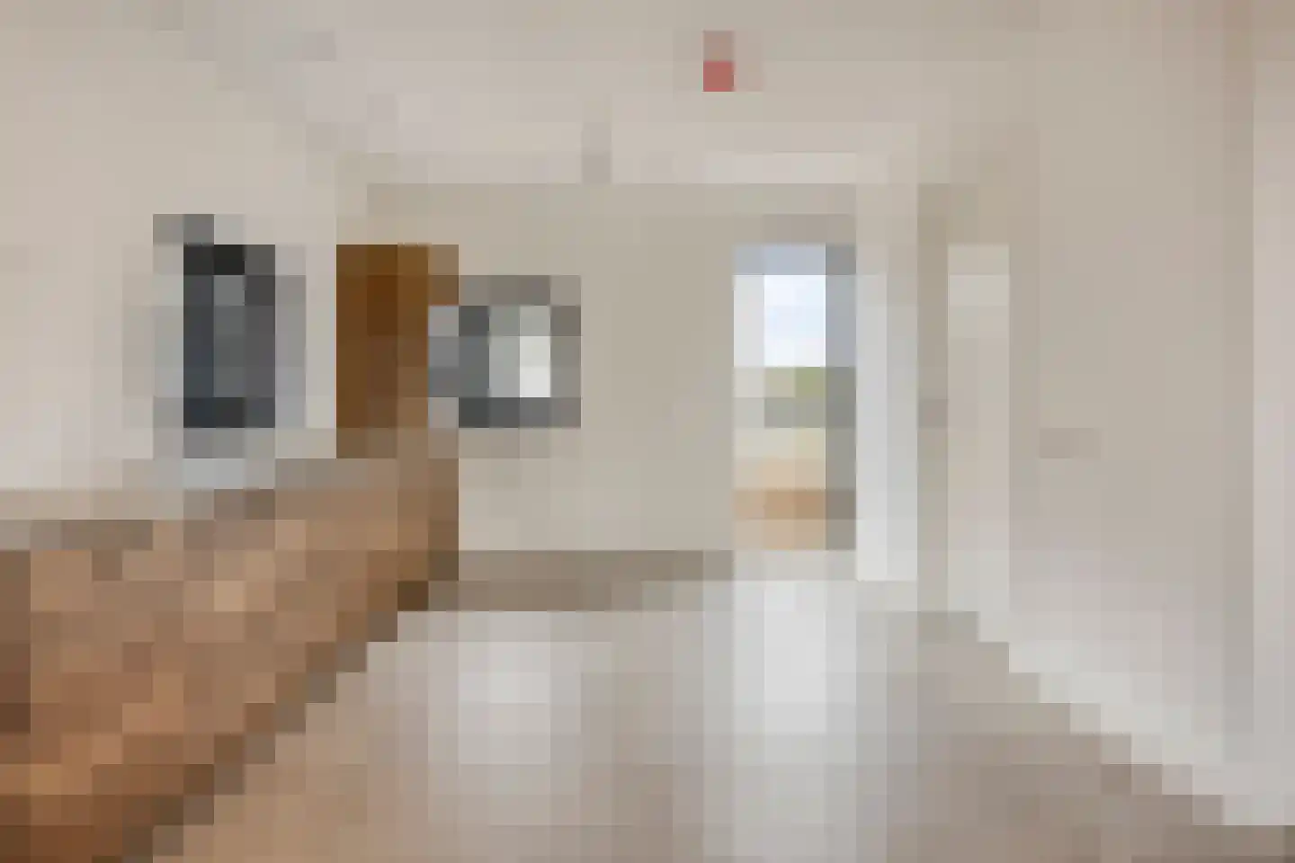 Meester van Coothstraat 55 A Lith thumbnail 25