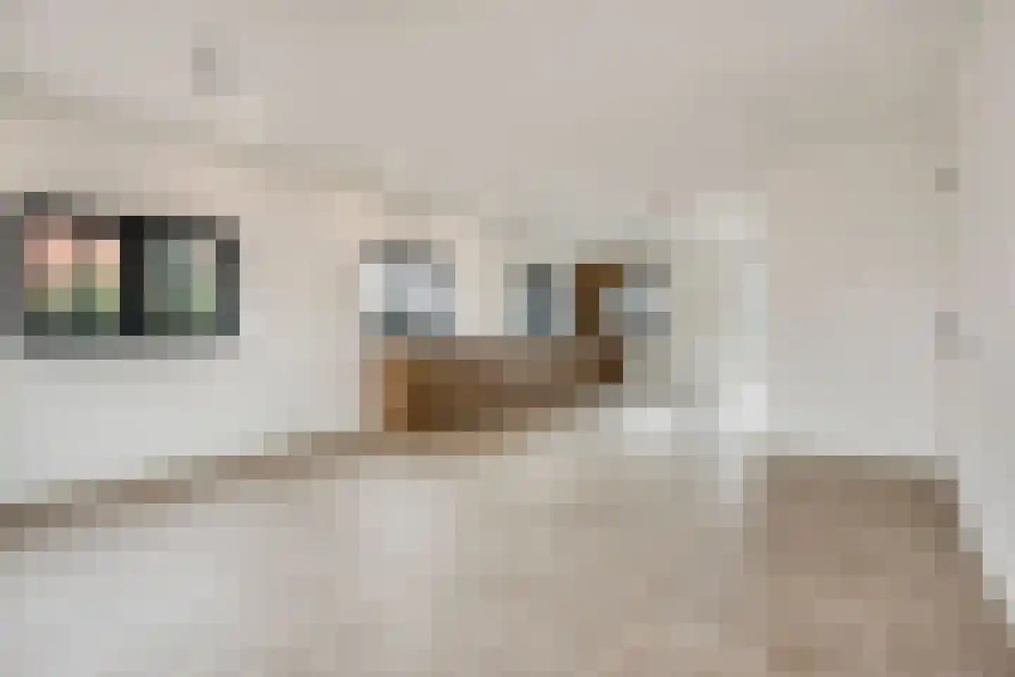 Meester van Coothstraat 55 A Lith thumbnail 26