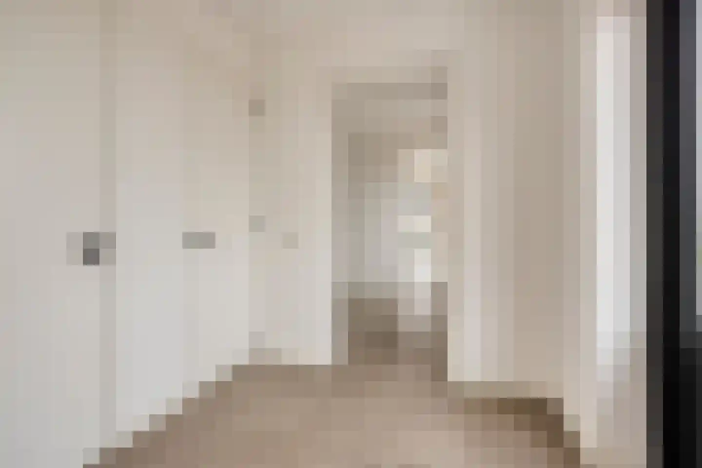 Meester van Coothstraat 55 A Lith thumbnail 29
