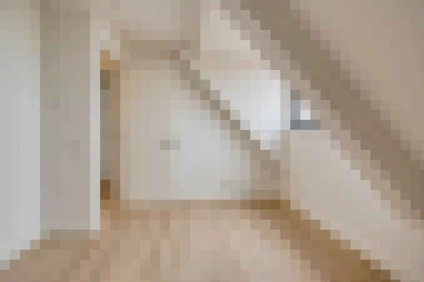 Meester van Coothstraat 55 A Lith thumbnail 57