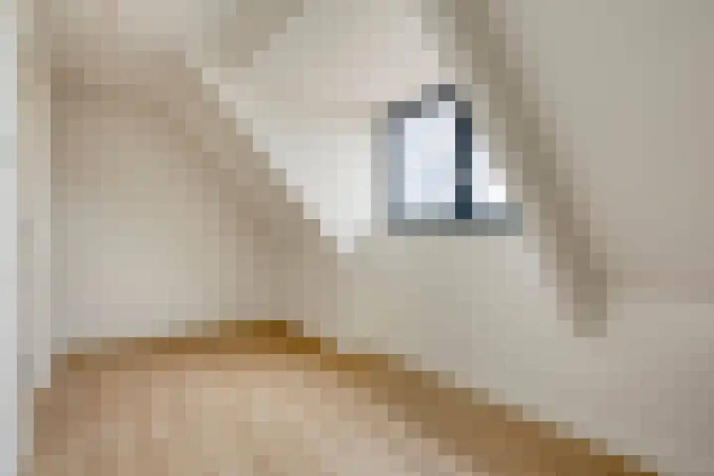 Meester van Coothstraat 55 A Lith thumbnail 68