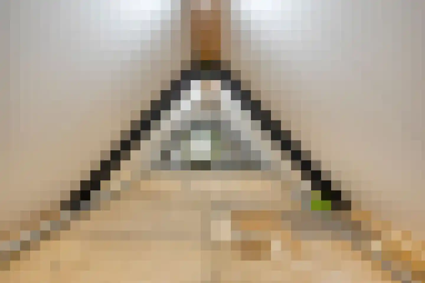 Meester van Coothstraat 55 A Lith thumbnail 69