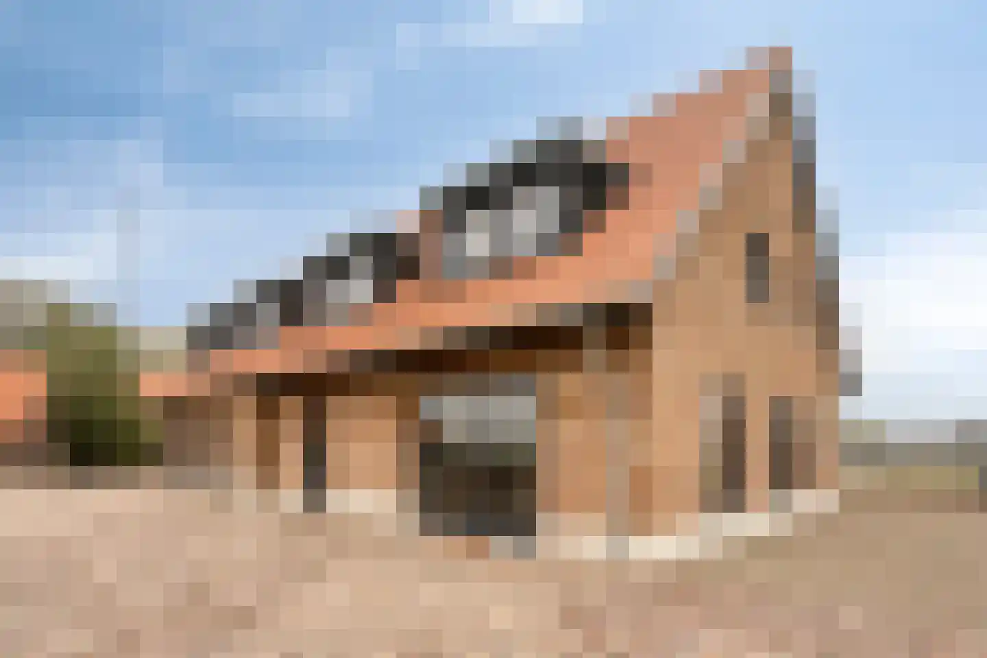Meester van Coothstraat 55 A Lith thumbnail 79