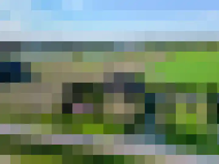 Meester van Coothstraat 57 B in Lith