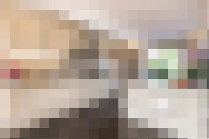 Meester van Coothstraat 57 B Lith thumbnail 12