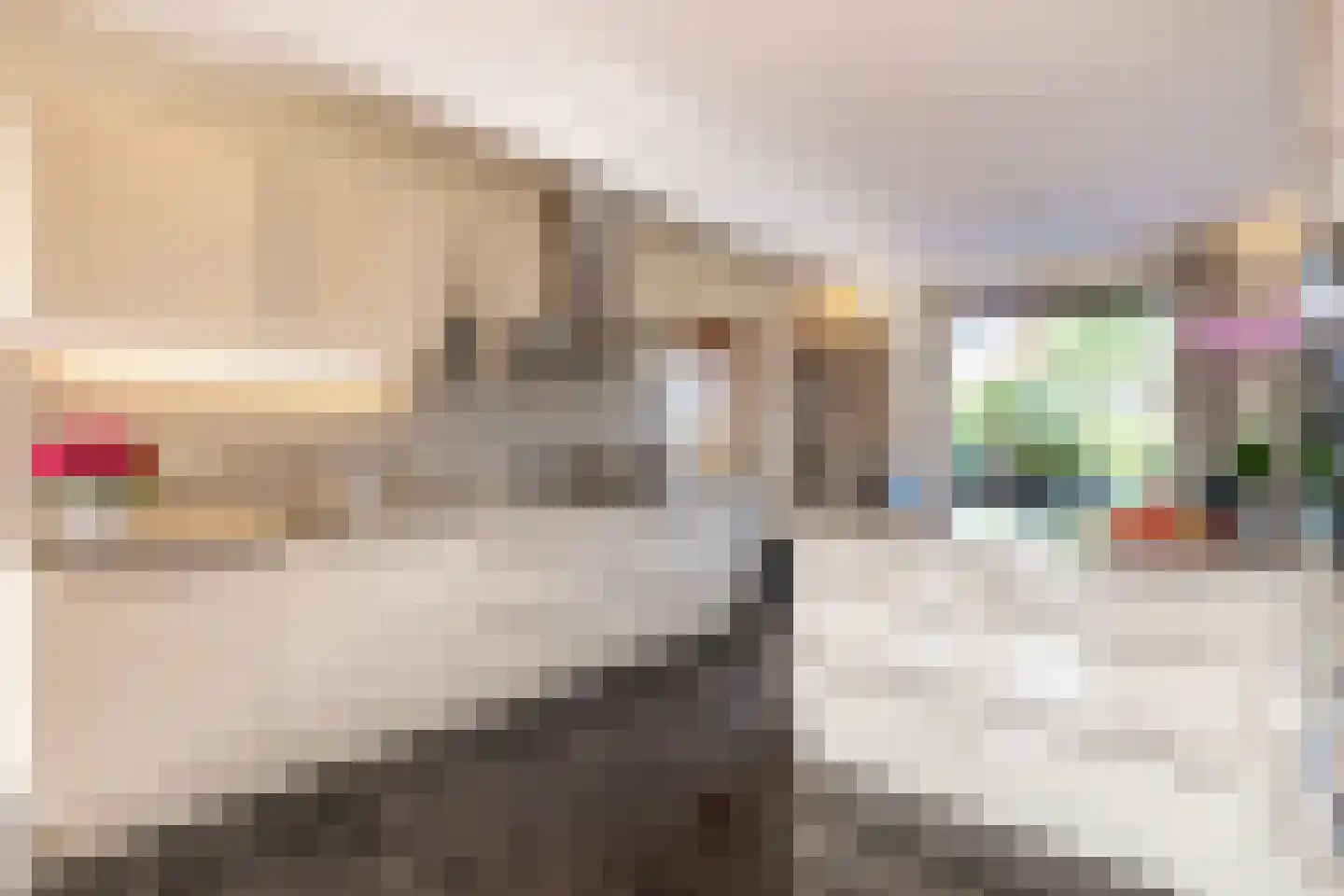 Meester van Coothstraat 57 B Lith thumbnail 12