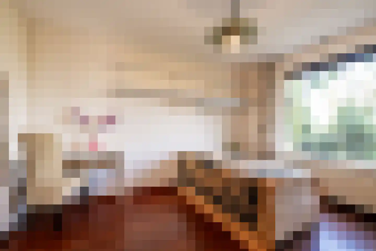 Meester van Coothstraat 57 B Lith thumbnail 14