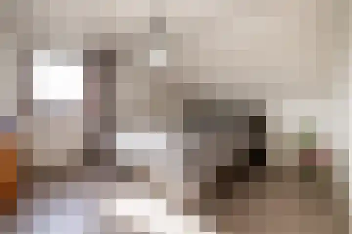 Meester van Coothstraat 57 B Lith thumbnail 17