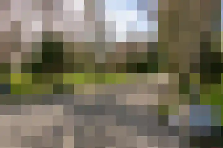 Meester van Coothstraat 57 B Lith thumbnail 24